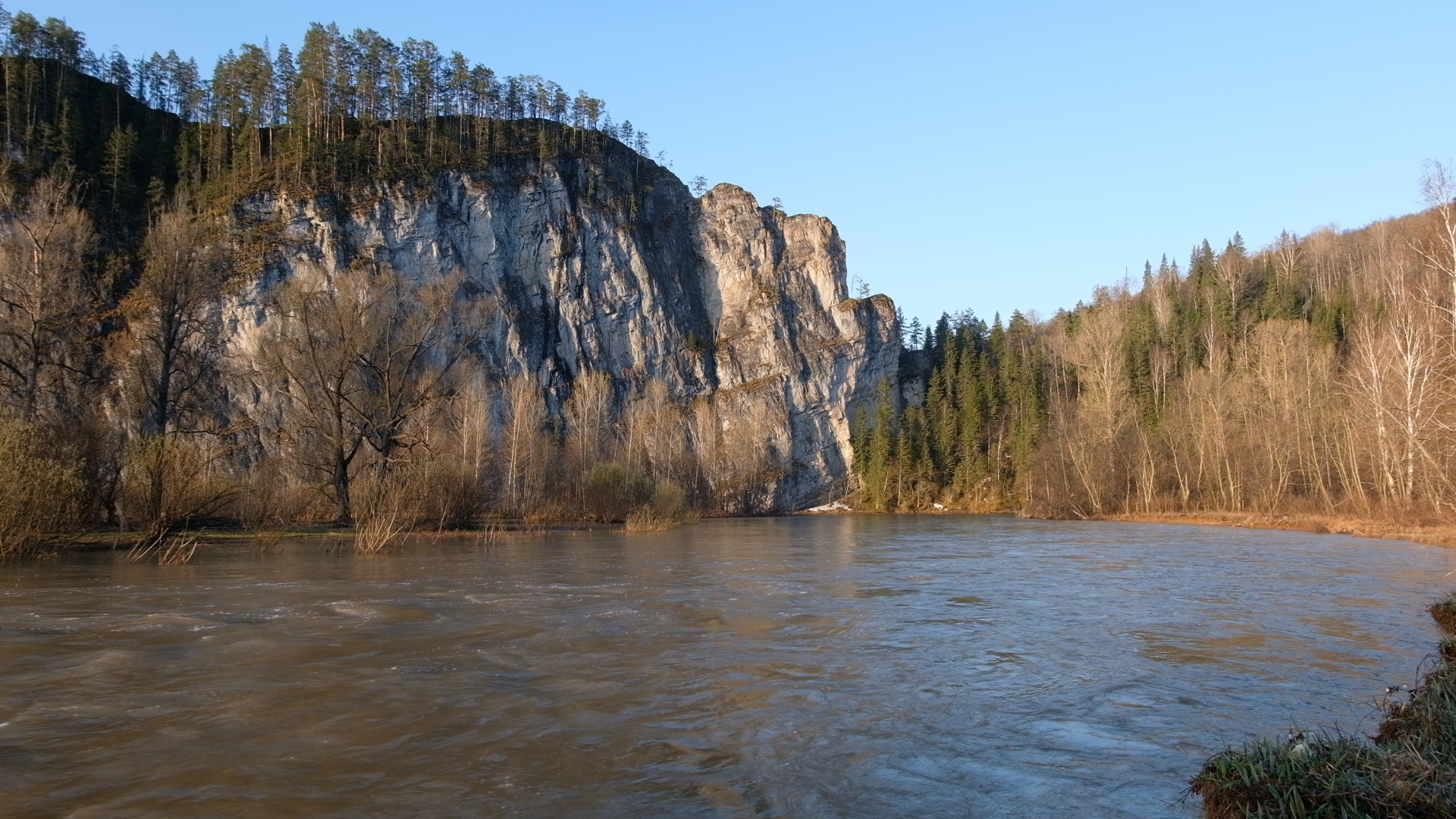 Лес